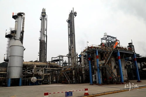 落地半年,這個(gè) 鏈條 帶給了瀘州哪些變化