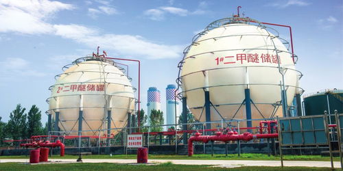 豫見(jiàn)新華 第1眼 踩好低成本 差異化 蹺蹺板 的心連心